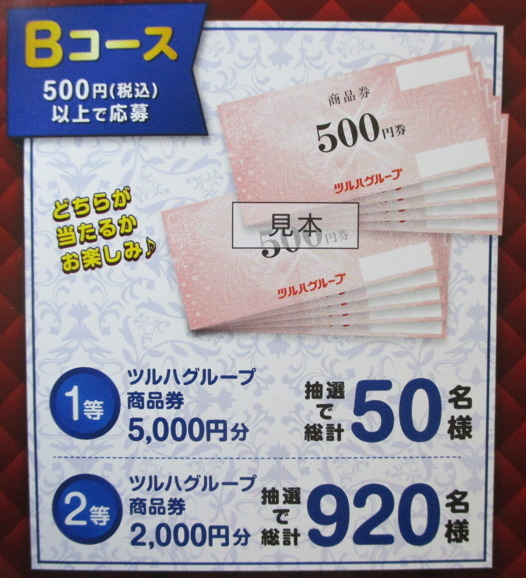 高質で安価 2 2枚 - 株主優待券2,500円分+ご優待 ツルハグループ 株主 ...